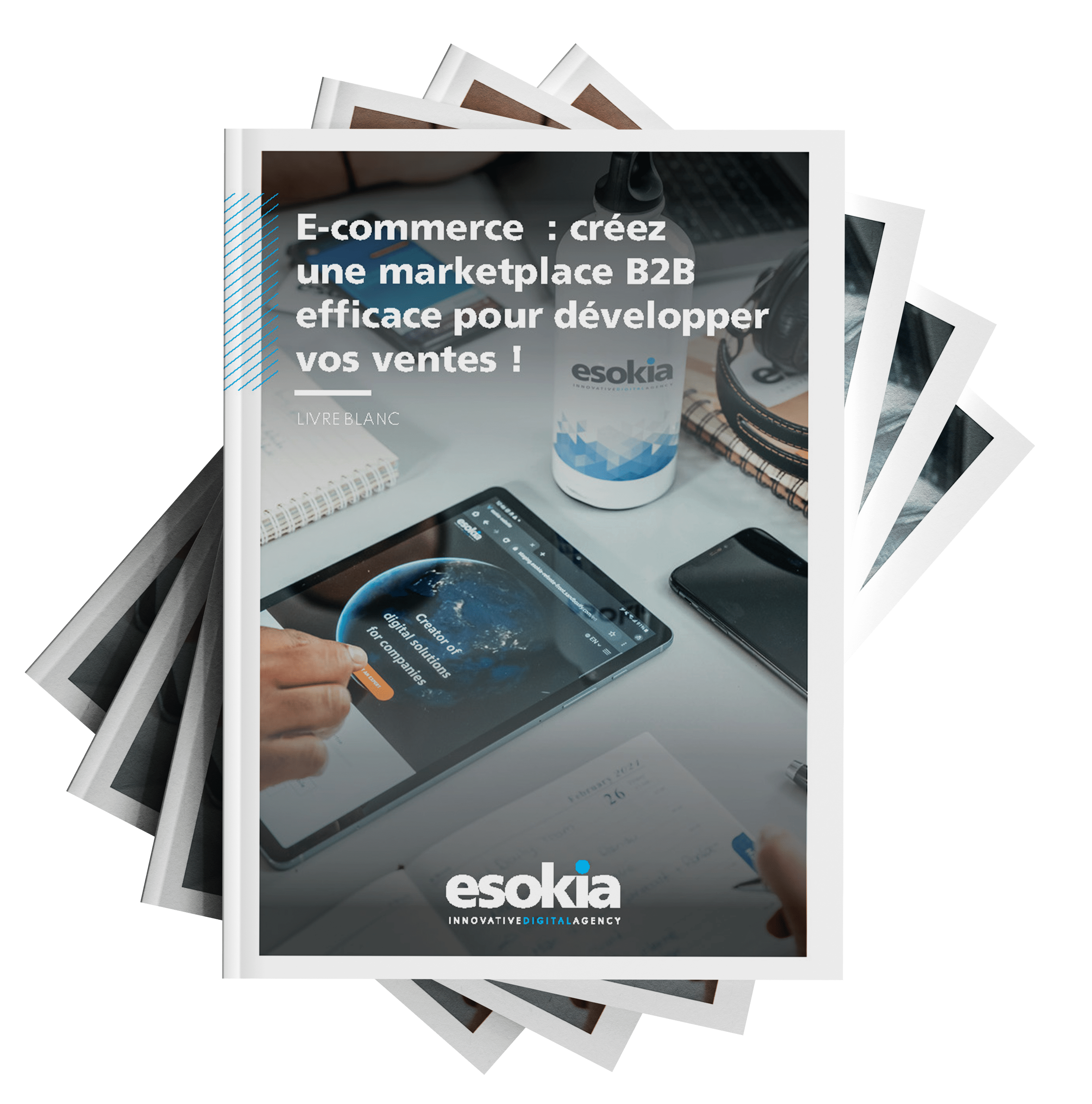 Livre Blanc Marketplace B2B